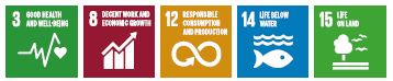 SDG 3